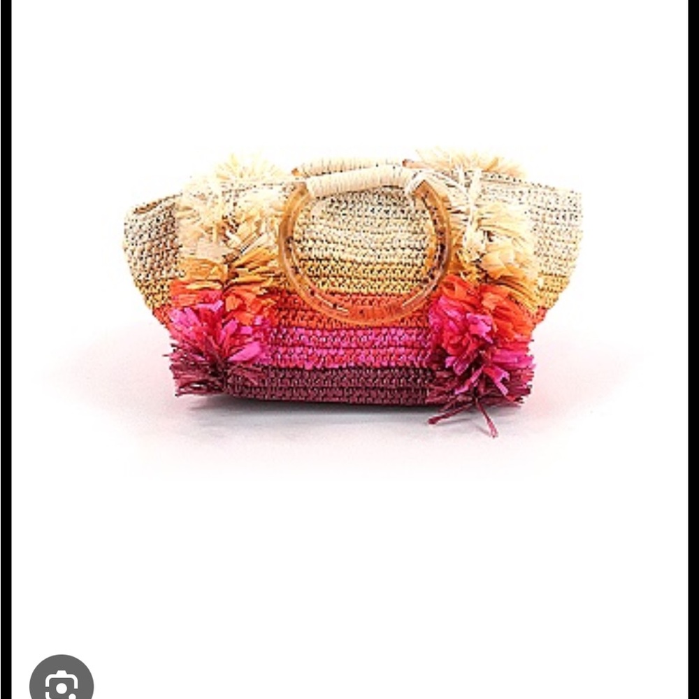 Carolina Santo Domingo Ombré Catalina Bag